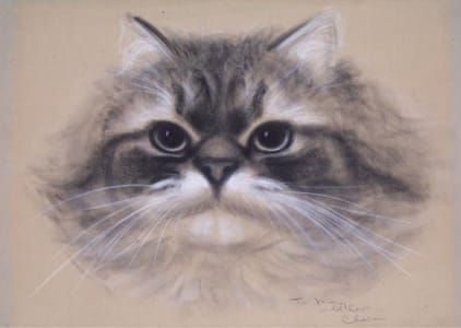 Artwork Title: Champion Sunny-Land Char-Miri, Illustration from Cats & Kittens, A Portfolio