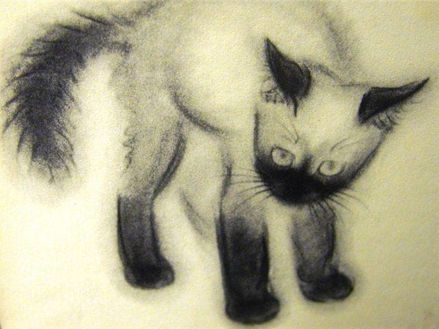 Artwork Title: Siamese Kitten