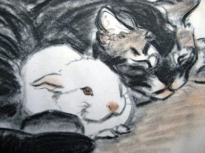 Artwork Title: Marshmallow the Rabbit and Cat