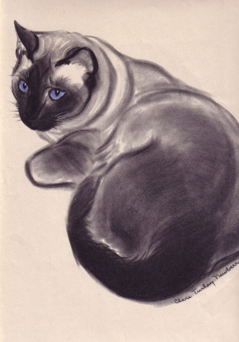 Artwork Title: Saroyan, Illustration from Cats, A Portfolio