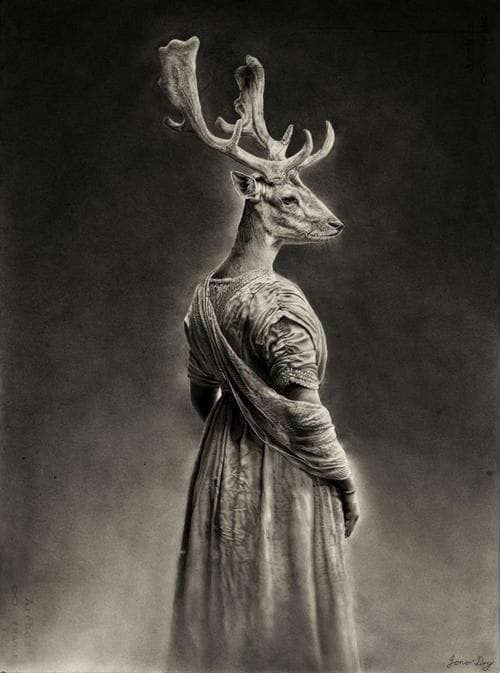 Artwork Title: Stag Queen