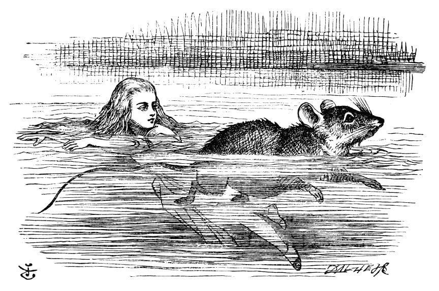 Artwork Title: Alice Swimming with Mouse