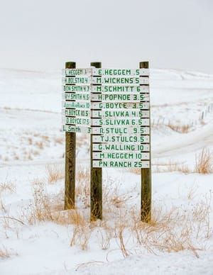 Artwork Title: Montana Signpost