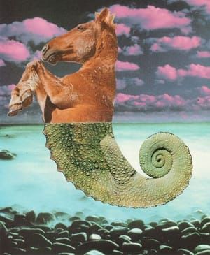 Artwork Title: Untitled