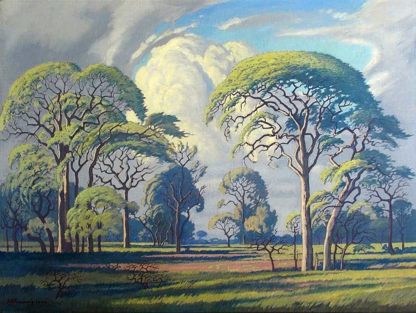 Artwork Title: Hardekoolbome, Bosveld (Leadwood Trees, Bushveld)