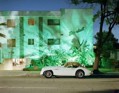 Artwork Title: California Dwelling: Untitled (Stardust Jungle)