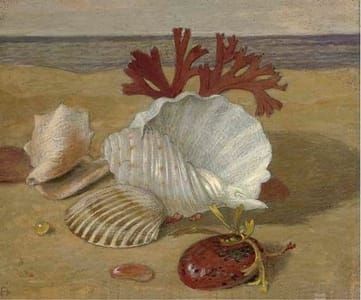 Artwork Title: Stranded Shells