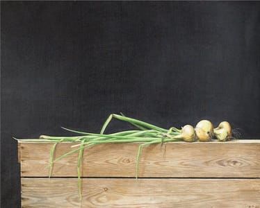Artwork Title: Still Life with Onions