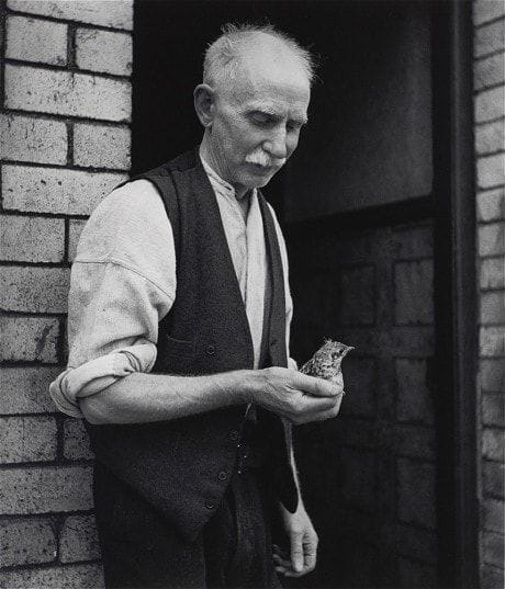 Artwork Title: Man with Bird, Tyneside)