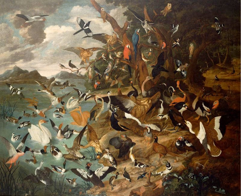 Artwork Title: The Parliament of Birds