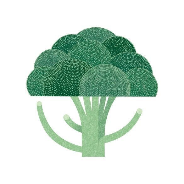 Artwork Title: Broccoli