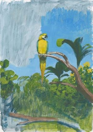 Artwork Title: Parrot