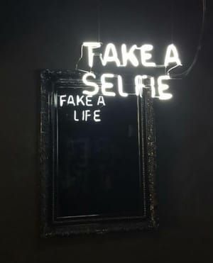 Artwork Title: Take A Selfie/ Fake a Life