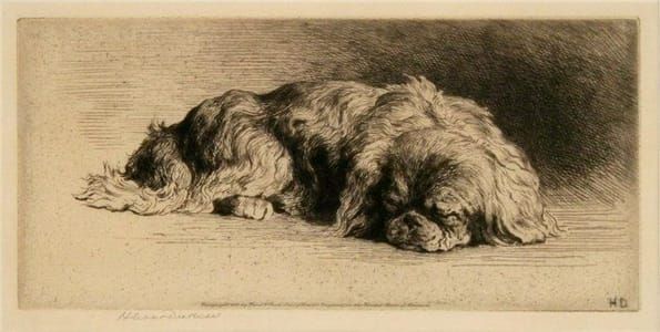 Artwork Title: A Sleeping Pekingese