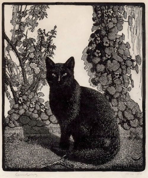 Artwork Title: The Black Cat