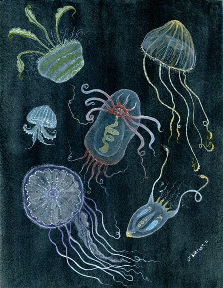 Artwork Title: Deep Sea Jellyfish