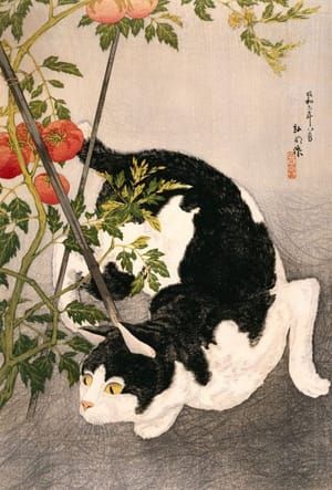Artwork Title: Black Cat and Tomato Plant