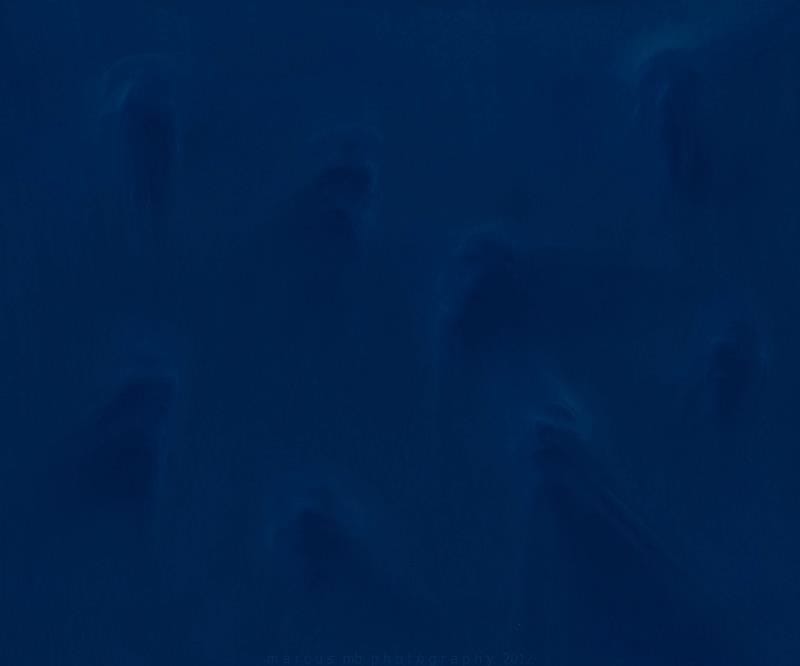 Artwork Title: The Deep Blue's Scream