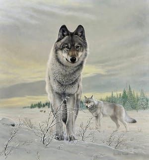 Artwork Title: Wolf