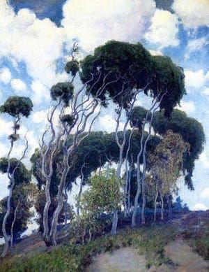 Artwork Title: Laguna Eucalyptus