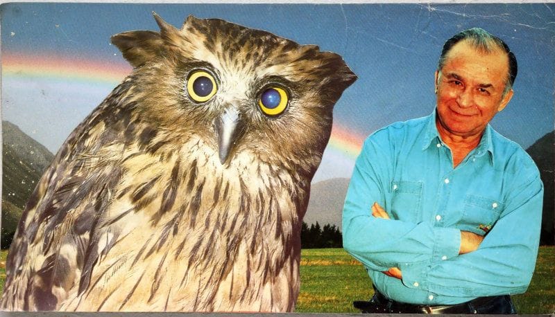 Artwork Title: undefined