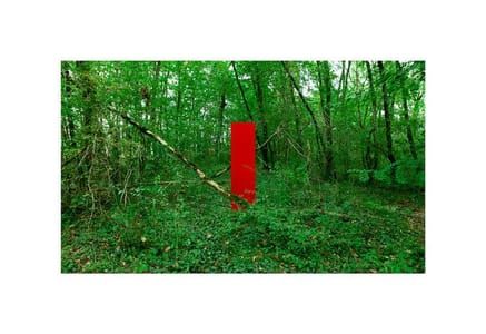 Artwork Title: Color Field, Red. E 0º27’40” N 43º56’38”