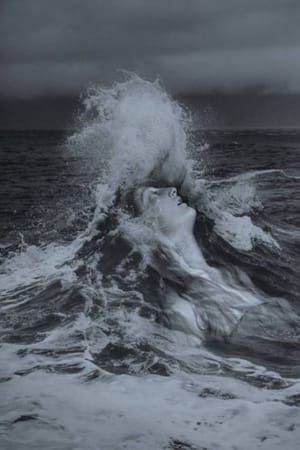 Artwork Title: Untitled