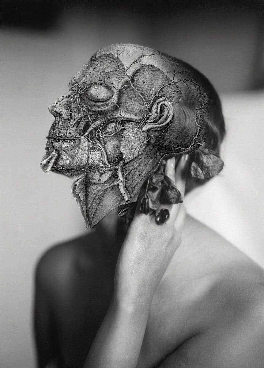 Artwork Title: undefined