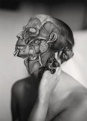 Artwork Title: Untitled