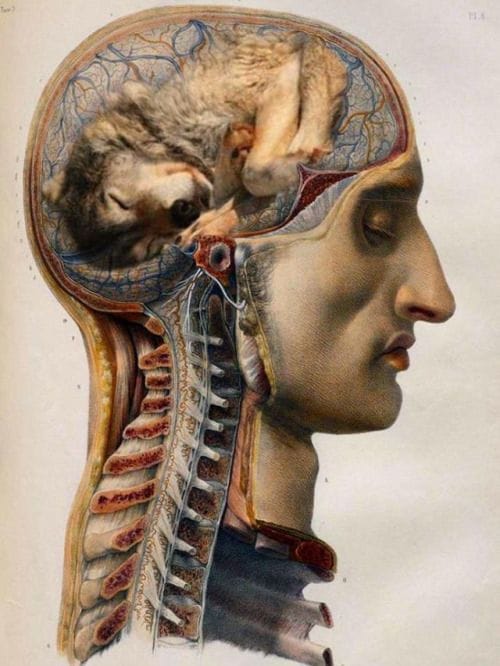 Artwork Title: undefined