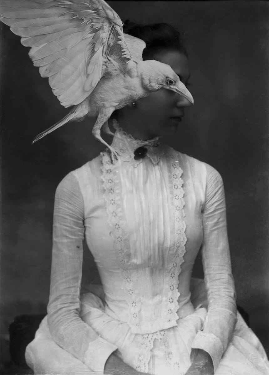 Artwork Title: undefined