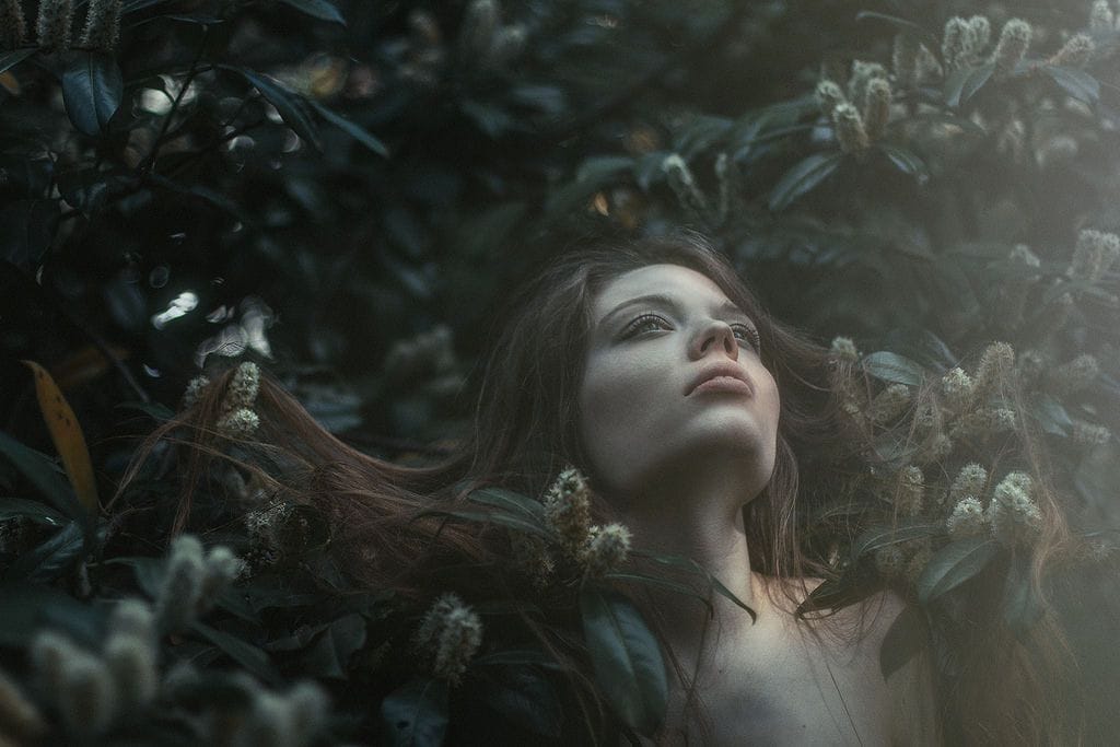 Artwork Title: undefined