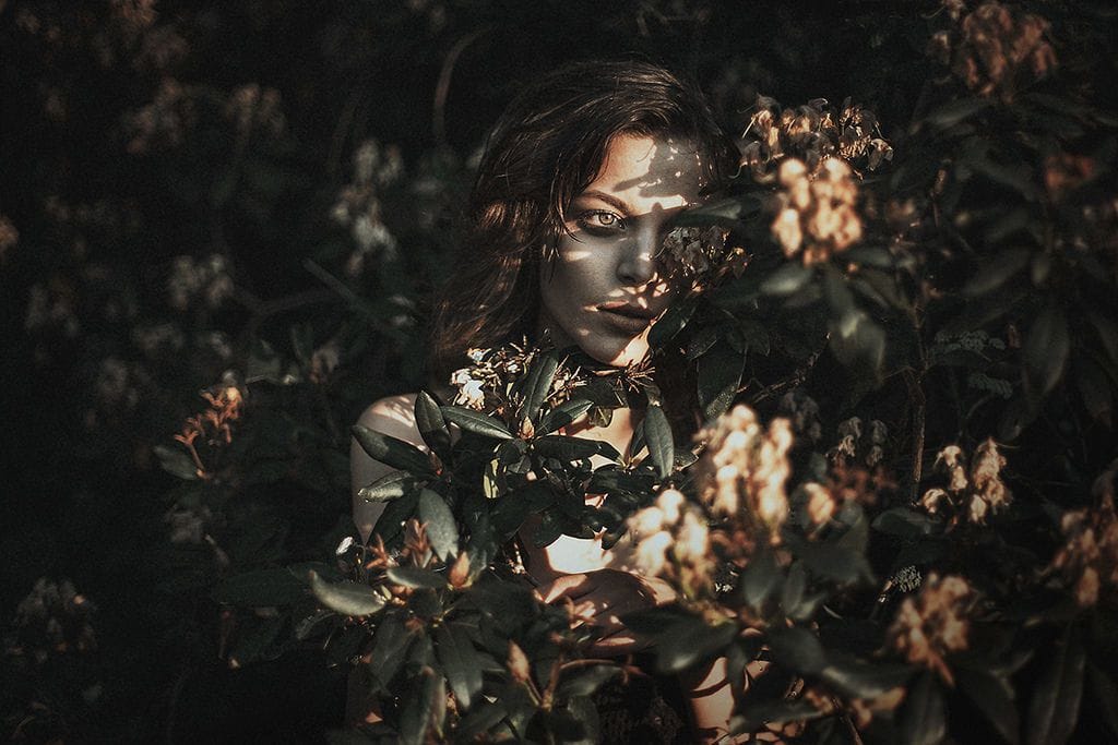 Artwork Title: undefined