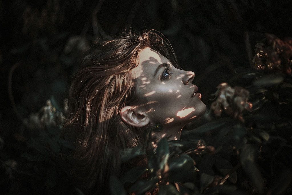 Artwork Title: undefined