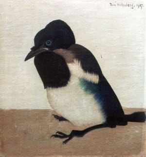 Artwork Title: A Young Magpie