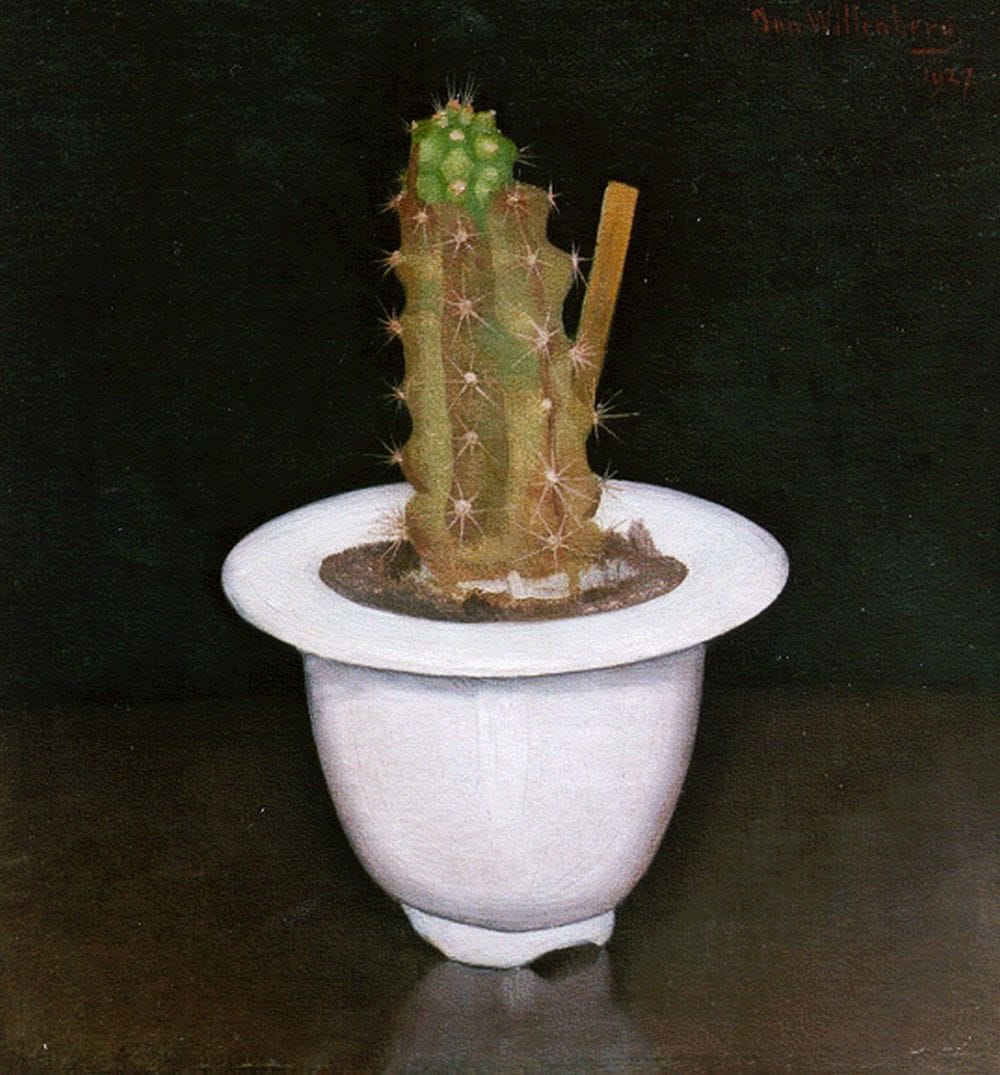 Artwork Title: Cactus in wit potje (Cactus in White Pot)