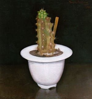 Artwork Title: Cactus in wit potje (Cactus in White Pot)
