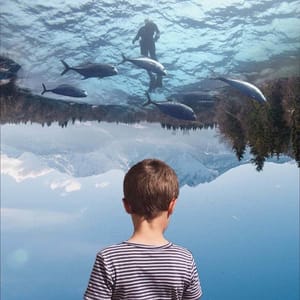Artwork Title: Untitled