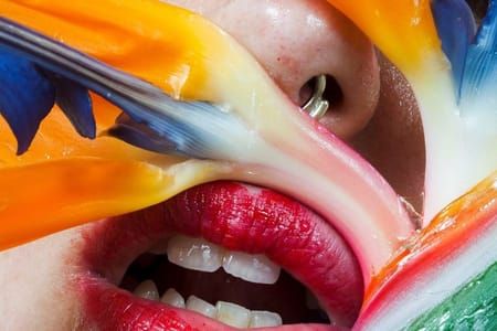 Artwork Title: Untitled