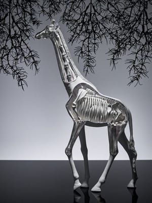 Artwork Title: Giraffe