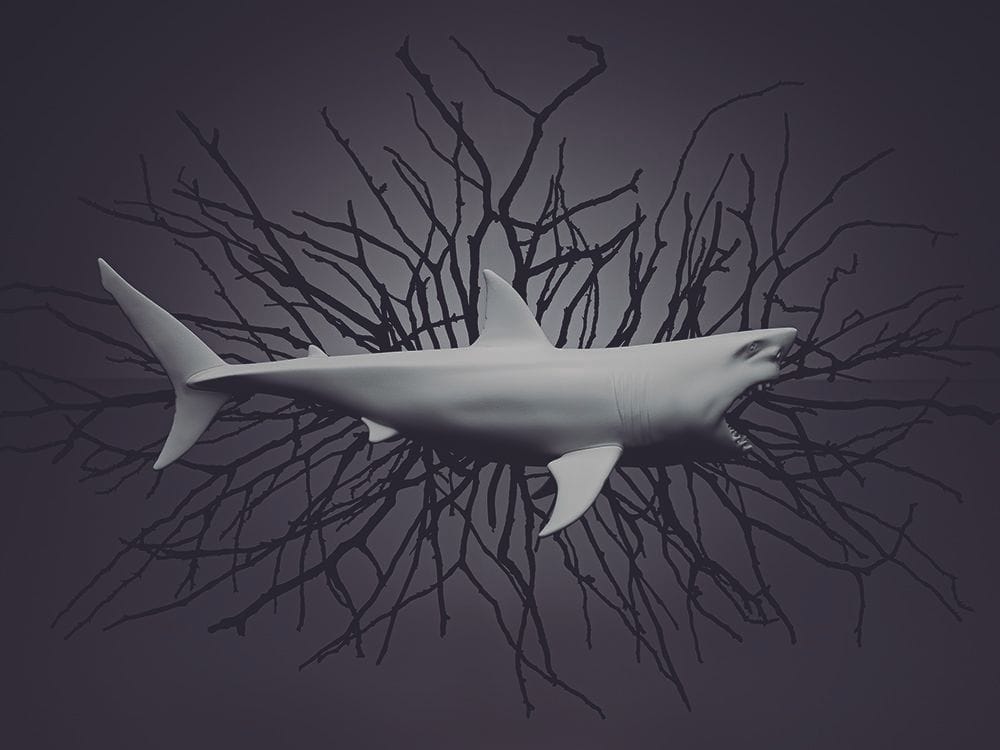 Artwork Title: Shark II