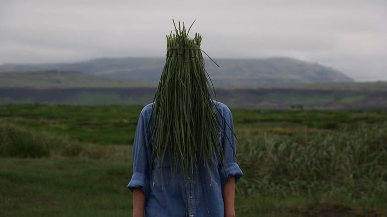 Artwork Title: undefined