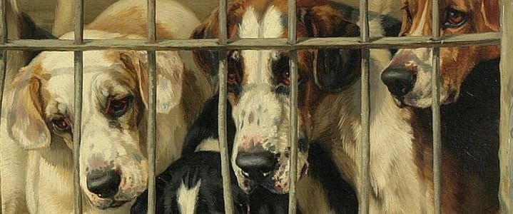 Artwork Title: Hounds in a Kennel