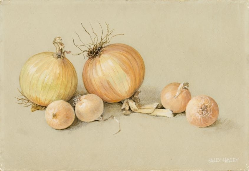 Artwork Title: Untitled (Six Onions)