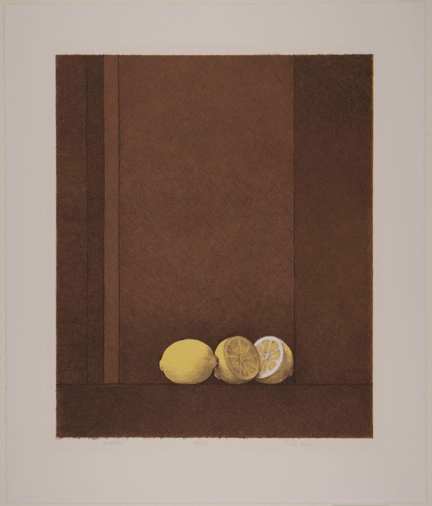 Artwork Title: Untitled (Cut Lemons)