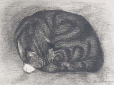 Artwork Title: Sleeping Cat