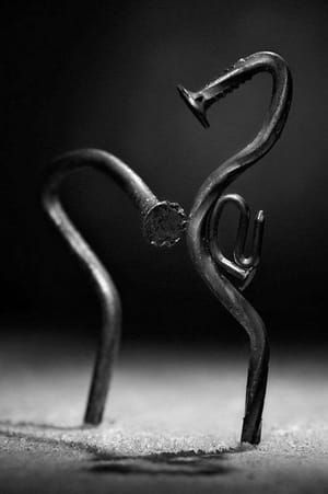 Artwork Title: Untitled