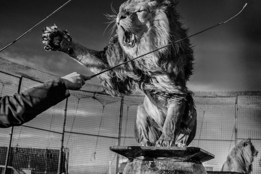 Artwork Title: undefined