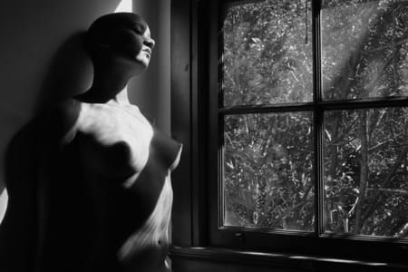 Artwork Title: Untitled