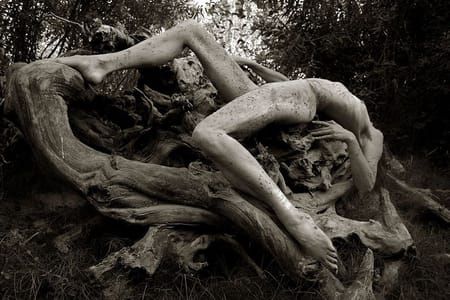 Artwork Title: Untitled